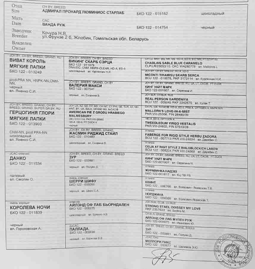 Родословная лабрадора Роналд